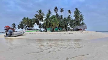 Una playa con palmeras, un bote y una pequeña cabaña.