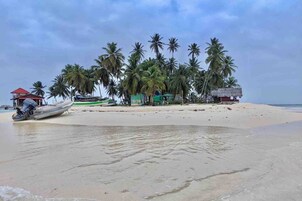 Una playa con palmeras, un bote y una pequeña cabaña.