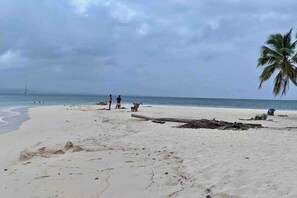 Ein Strand mit sandigem Ufer, einer Palme und einem Segelboot in der Ferne.