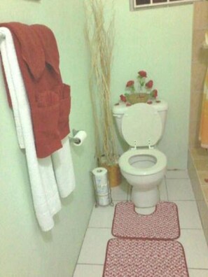 Apartment | Bathroom | Shower, rainfall showerhead, towels