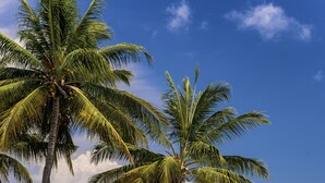A pool area with a lounge chair and a hanging chair, palm trees, and a beach view.