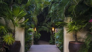 A pathway flanked by large potted plants leading to a dark interior.