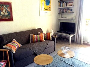 Téléviseur, lecteur de DVD, livres, sélection de films