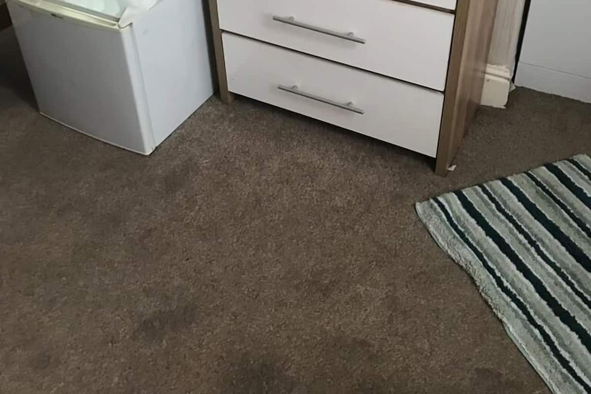 Bügeleisen/Bügelbrett, kostenloses WLAN, Bettwäsche