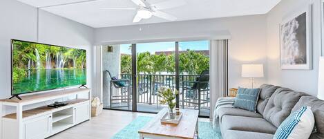 تلفزيون، مشغل دي في دي