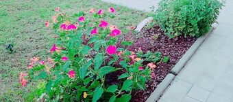 HOLYDAY HOME in brescia in italy