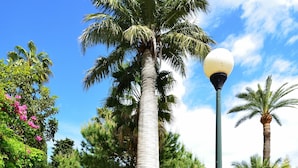 A pathway flanked by lush greenery, including palm trees and flowering plants, leading towards a building. - Cannes Eden. Large sea view studio, beach access, quiet, swimming pool and tennis. (Vallauris)