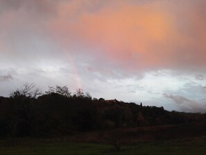 Immagine non classificata, 4 di 6, pulsante