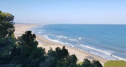 Farmhouse Pool Gardens Beach
Mas de la Rivière Villelongue de la Salanque