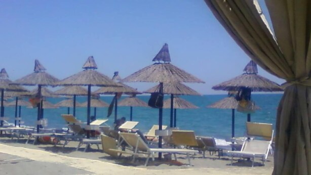 Una playa con filas de tumbonas y sombrillas de paja.