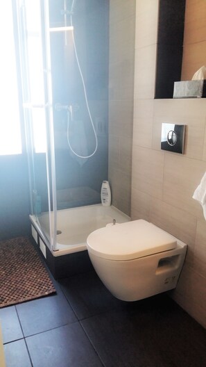 Shower, hair dryer, towels, soap