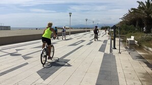 A paved walkway with a beach in the background, lined with palm trees and street lamps. - PLEASANT STUDIO CABIN PARKING SEA AT 80M (Canet-en-Roussillon)