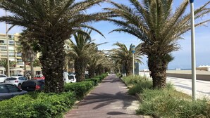 A paved pathway lined with palm trees and parked cars, leading towards a beach. - PLEASANT STUDIO CABIN PARKING SEA AT 80M (Canet-en-Roussillon)