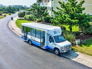 A tour bus parked on a residential street with a well-maintained lawn and a large pine tree.