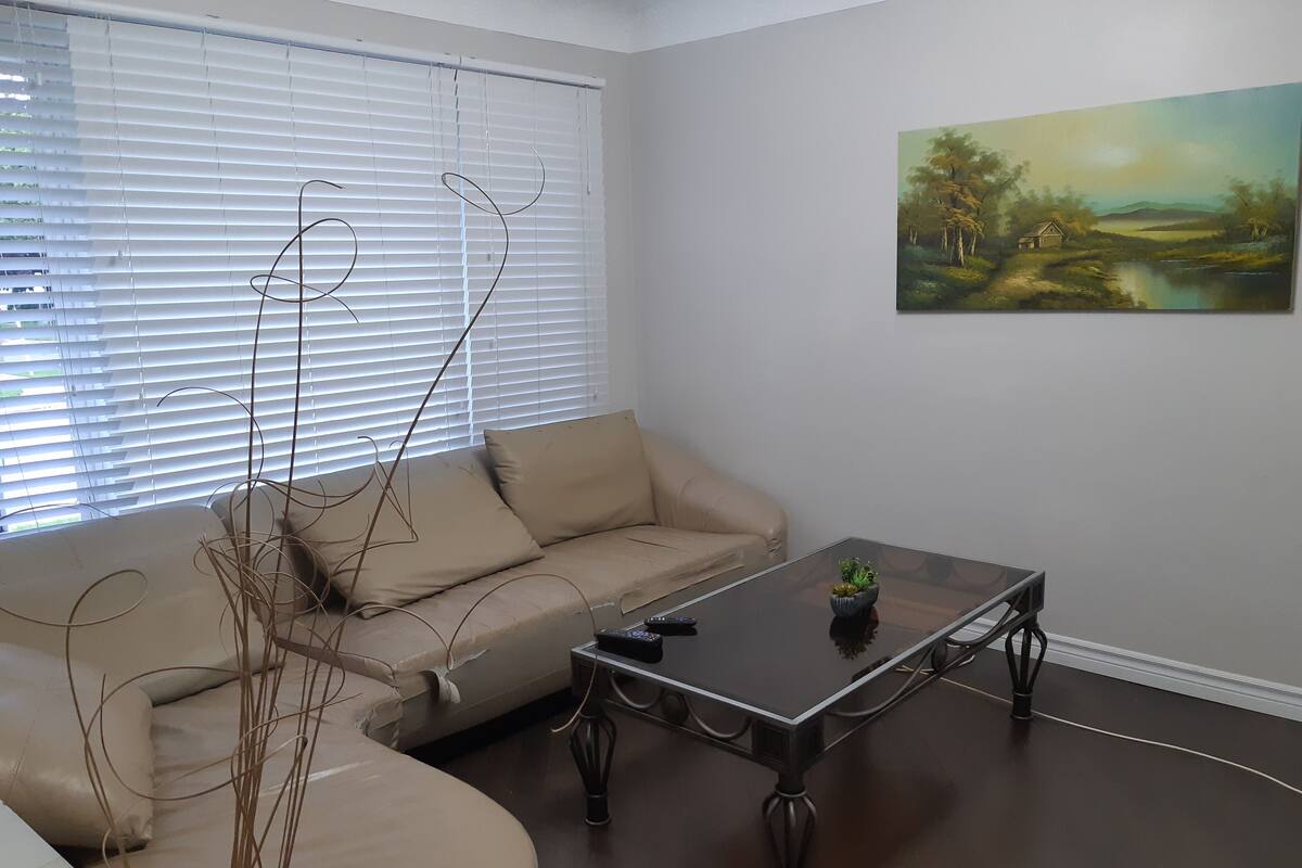 Flat-screen TV