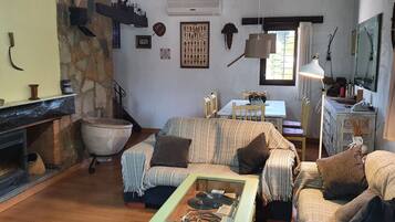 Smart TV, fireplace, books