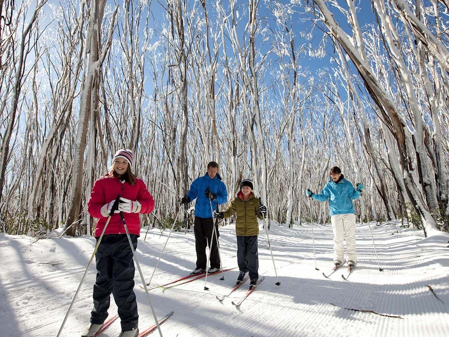 Deportes de invierno y ski