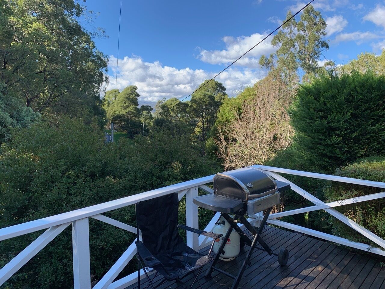 Une terrasse dotée d’un barbecue, entourée d’une végétation luxuriante et agrémentée d’une rambarde blanche.