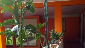 A corridor lined with potted plants, orange walls, and a tiled ceiling. - Hotel Arbol Dorado (Florencia)