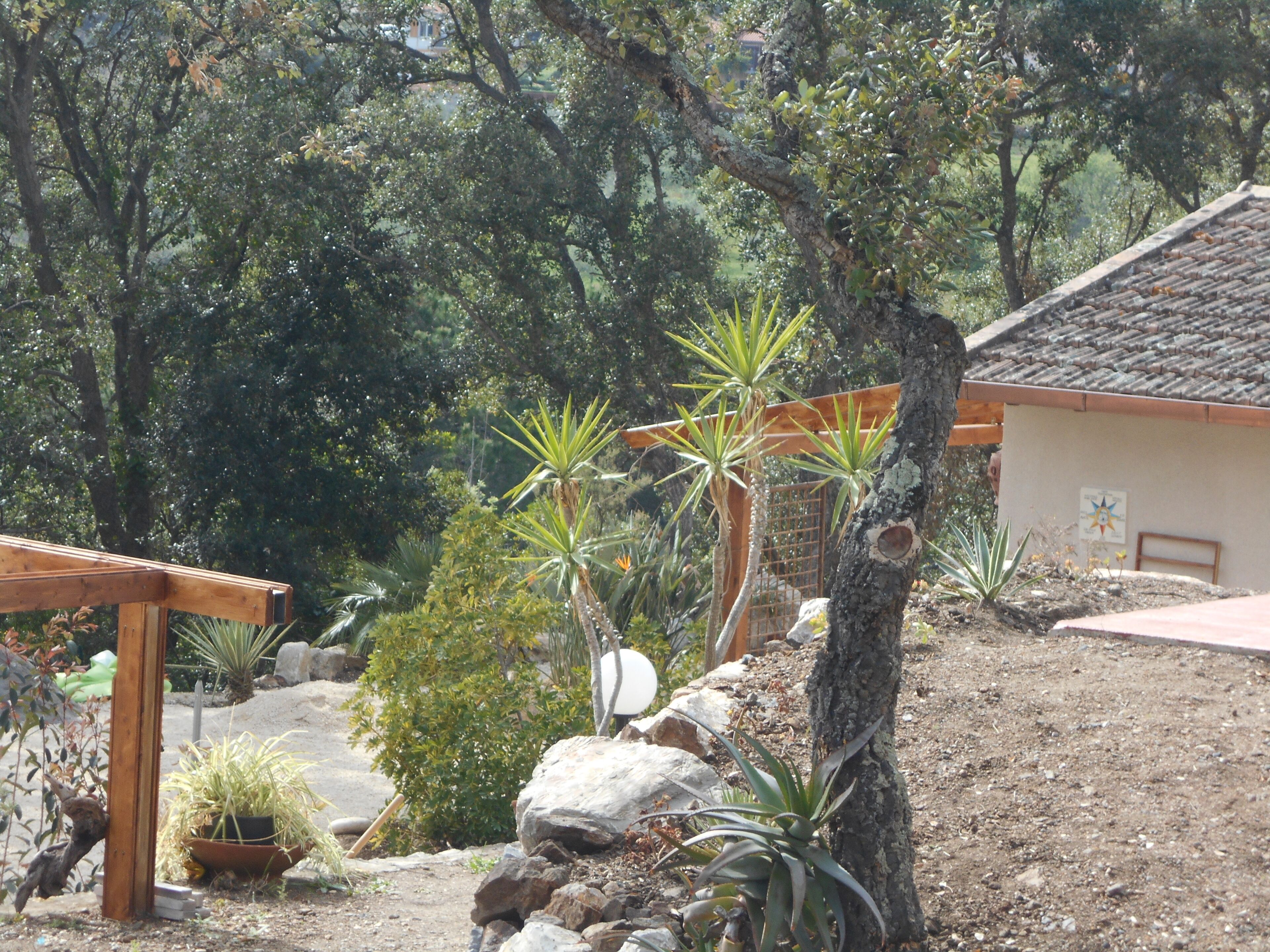 A garden with various plants, a wooden pergola, and a small building with a tiled roof.