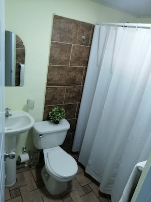 A bathroom with a toilet, sink, and shower curtain. - Anedi Guesthouse (La Vega)