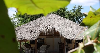 Anedi Guesthouse