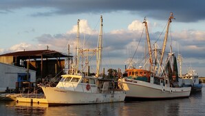 Deux bateaux de pêche étaient amarrés dans une marina, avec un bâtiment visible à l’arrière-plan.