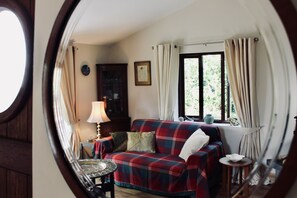 TV connectée, cheminée, lecteur de DVD, livres