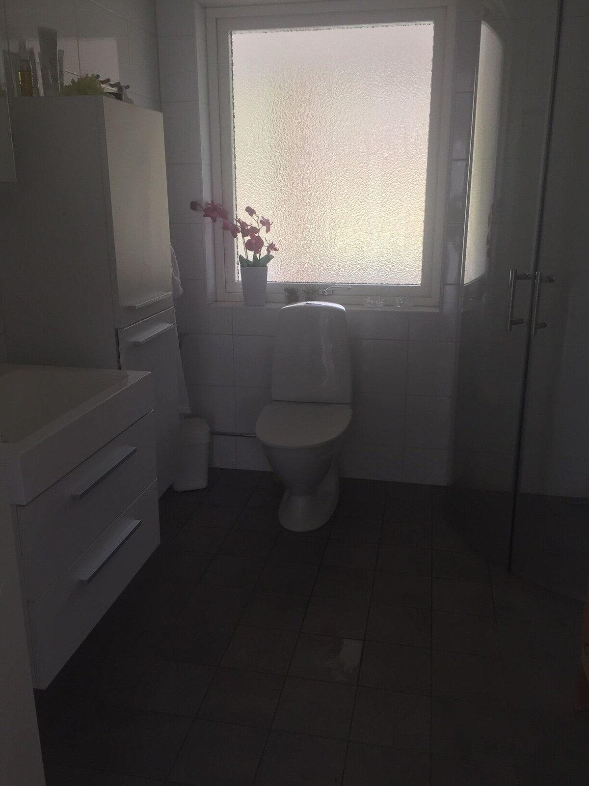 Image de profil de lâhĂŽte