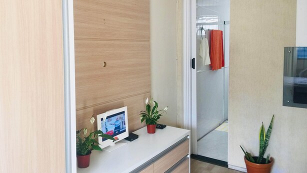 Een receptiehoek met een houten kast, een klein bureau met een monitor, potplanten en een deur naar een badkamer.