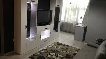 電視、DVD 播放機、書籍、影像庫