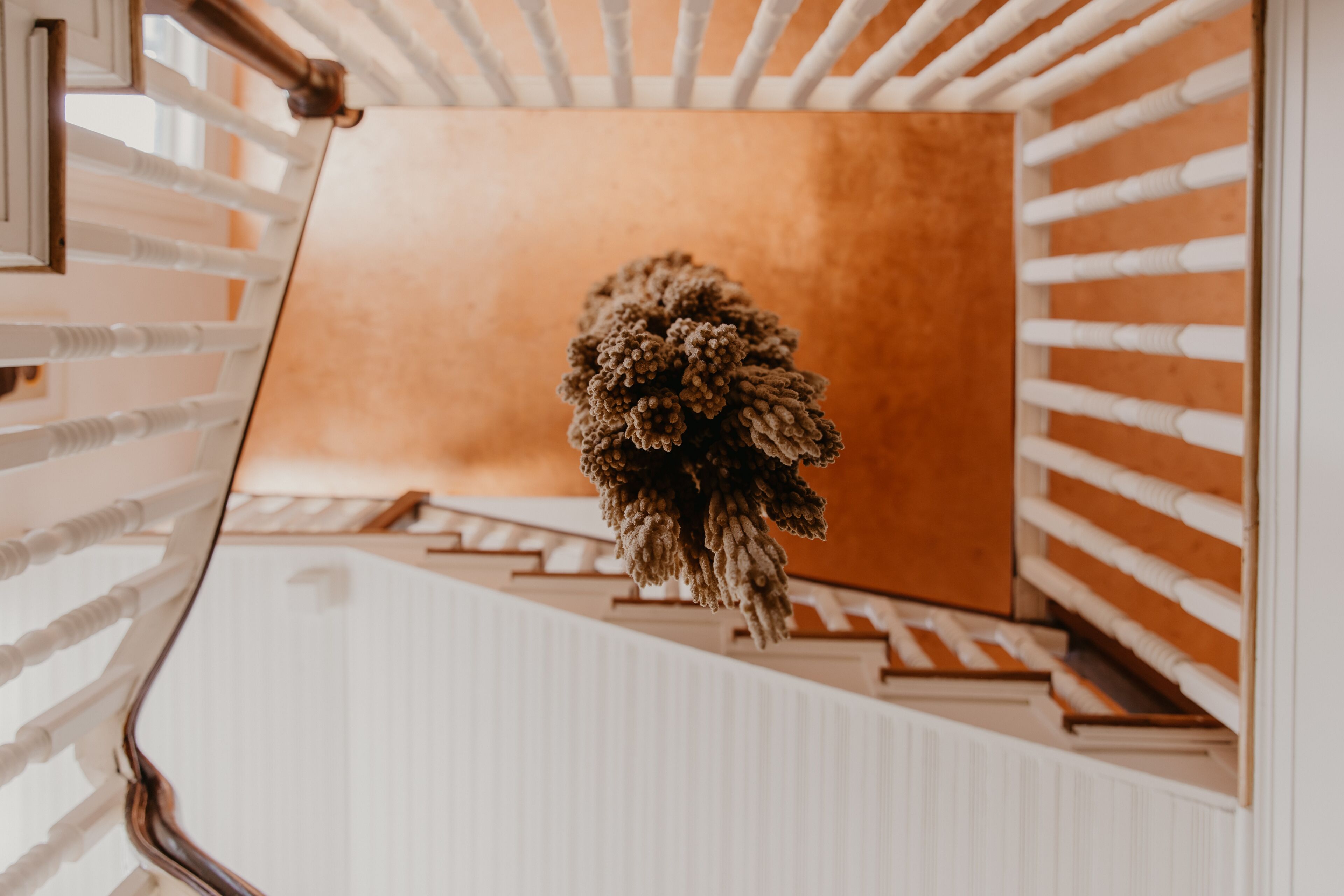 A staircase with a white railing and a brown wall.