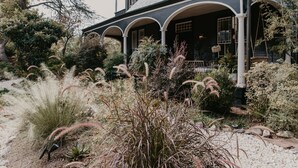 A two-story house with a porch, surrounded by various types of vegetation. - Dreamers BNB (Wilmington)