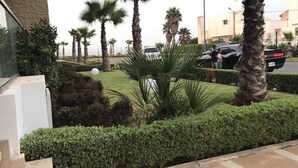 A landscaped garden with palm trees and well-maintained hedges.