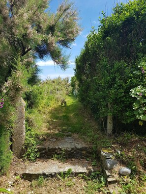 Property grounds - Beautiful renovated house - 3 Bedrooms - Sea & Countryside (Maupertus-sur-Mer)