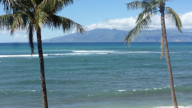 A beach with two people sitting on large rocks, palm trees, and a mountain in the background. - Direct Oceanfront Studio With Private Lanai (Lahaina)