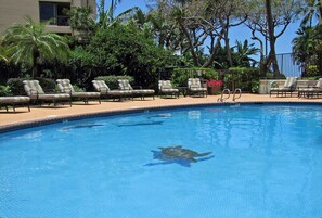 室外游泳池，恒温泳池