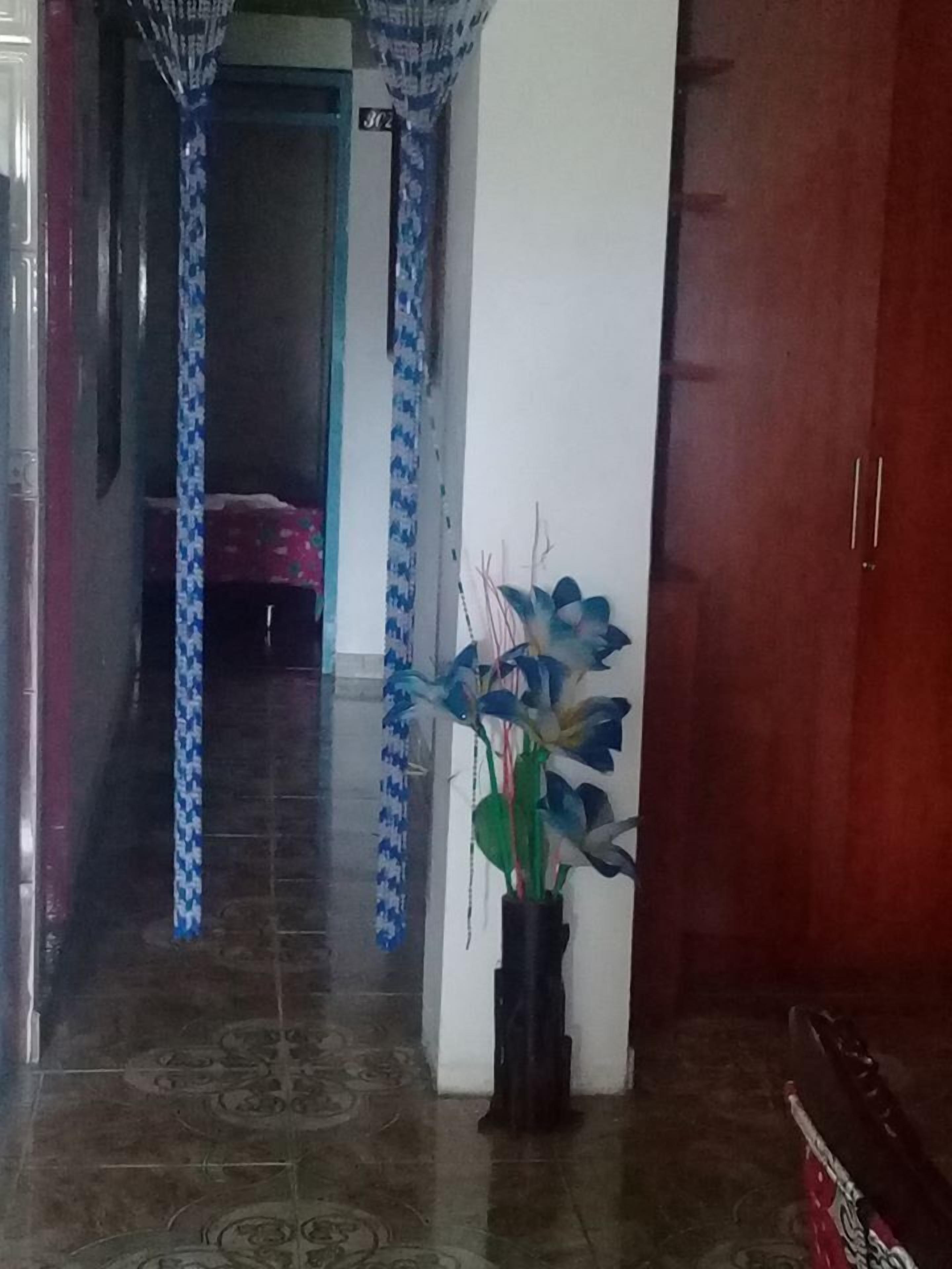 Foto - hotel el opita