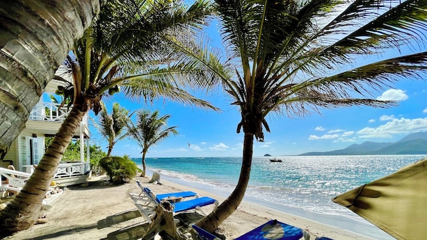 A beach with palm trees, lounge chairs, and a clear view of the ocean. - Two for One! Charming Cottage on hillside with private lounge on Turtle Beach! (BASSETERRE)