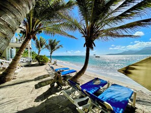 Beach nearby, beach towels - Two for One! Charming Cottage on hillside with private lounge on Turtle Beach! (BASSETERRE)