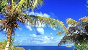 A tropical beach view with a sign reading "COTAGE". - Two for One! Charming Cottage on hillside with private lounge on Turtle Beach! (BASSETERRE)