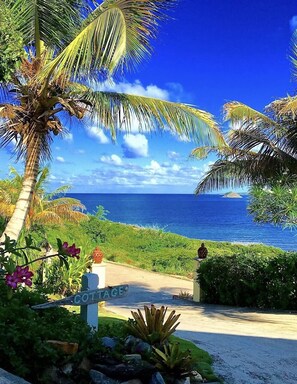 Property grounds - Two for One! Charming Cottage on hillside with private lounge on Turtle Beach! (BASSETERRE)