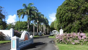 A sign for the Bainte Marthe Center with a clear road leading to it, surrounded by lush greenery and palm trees.