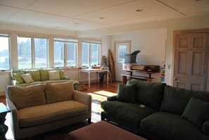 Una televisión, una chimenea, un reproductor de DVD, libros