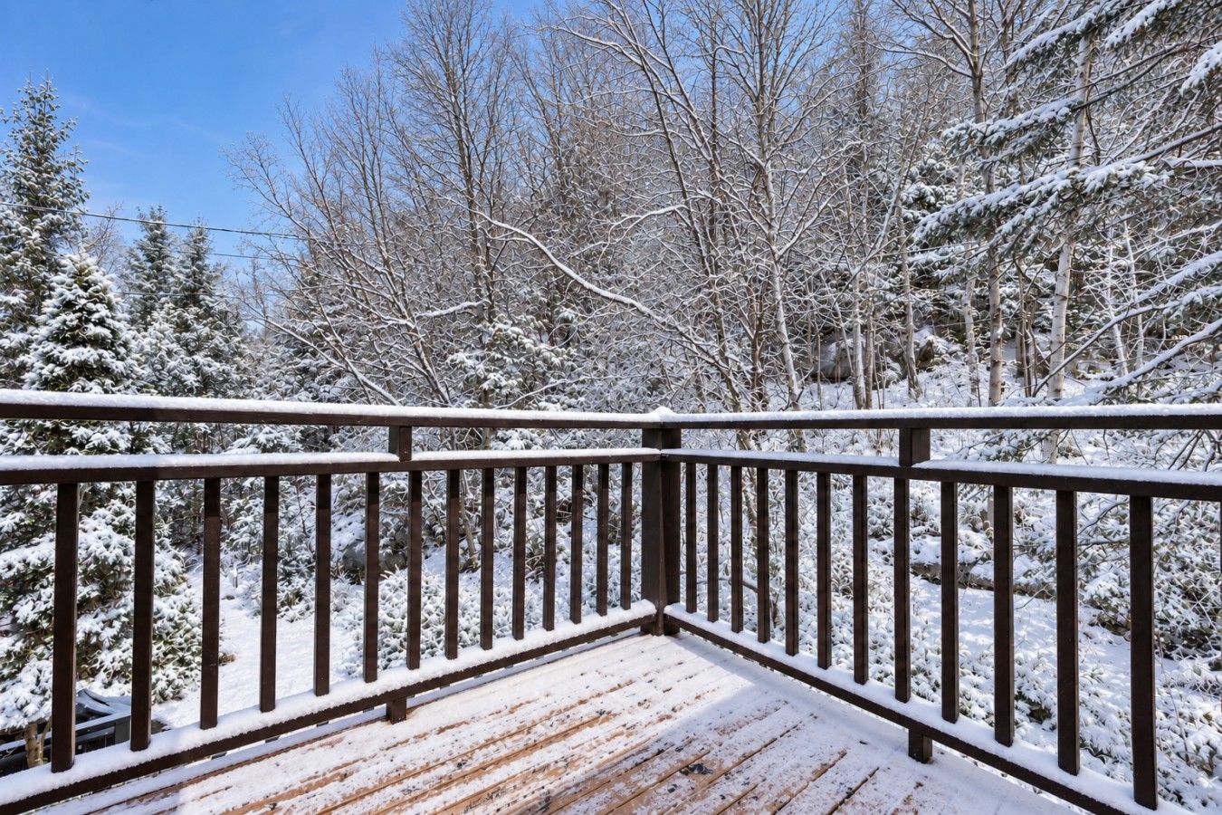 Una terraza de madera con barandilla metálica, rodeada de árboles cubiertos de nieve.