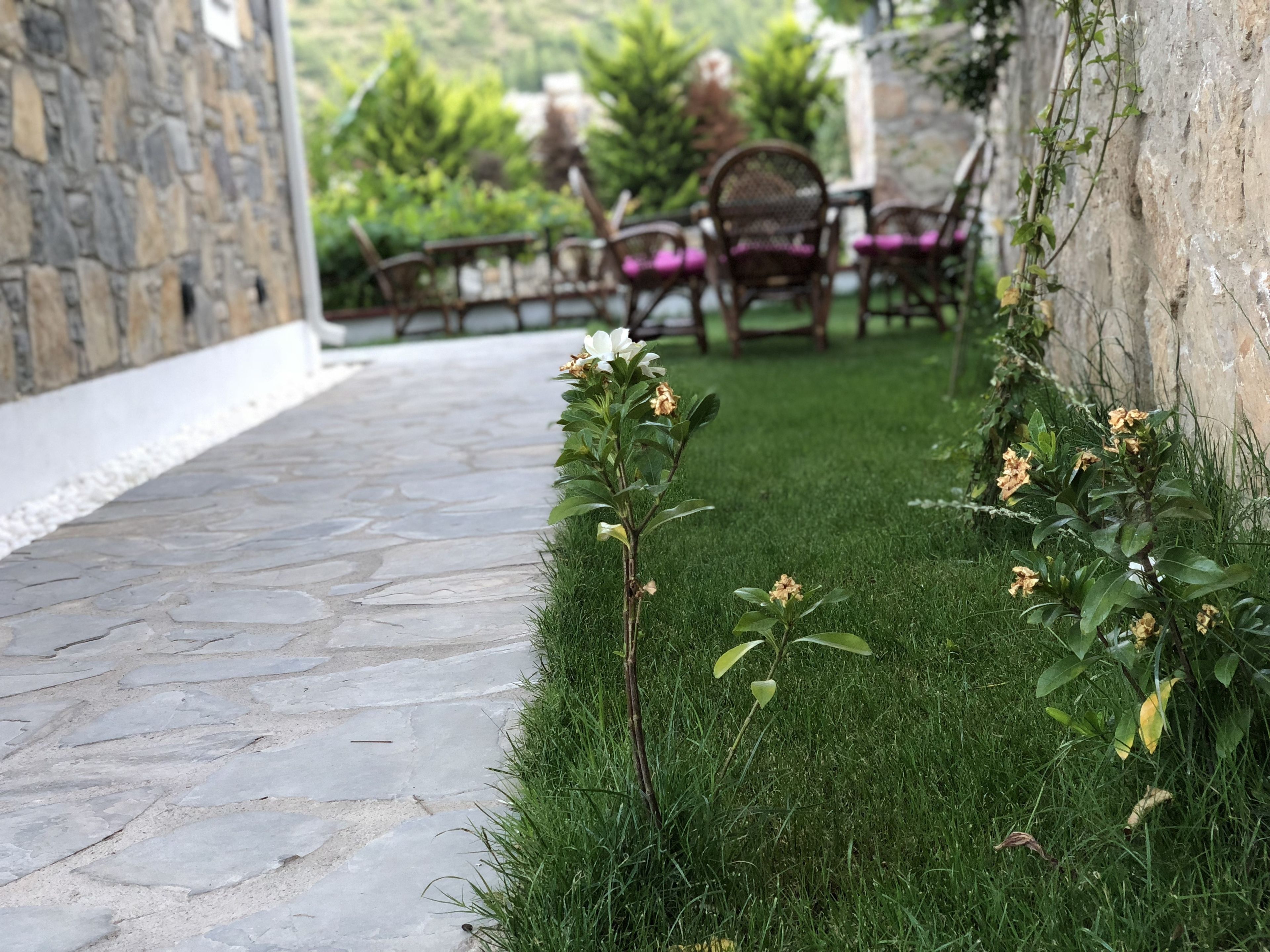 A stone pathway leading to a seating area with chairs and a table, surrounded by greenery and flowers.