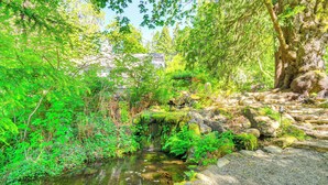 A natural outdoor area with a small stream, rocks, and dense greenery. - Oyster Haven: Private Oyster Beach w/Kayaks (Shelton)