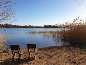 Eine friedliche Seenlandschaft mit zwei hölzernen Bänken, die zum Wasser blicken, umgeben von hohen Schilfhalmen und Bäumen im Hintergrund.
