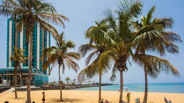 Ein Strand mit Palmen, ein Gebäude mit spiegelnden Fenstern und einem strahlend blauen Himmel.