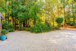 A gravel driveway leading to a wooden house surrounded by dense forest.
